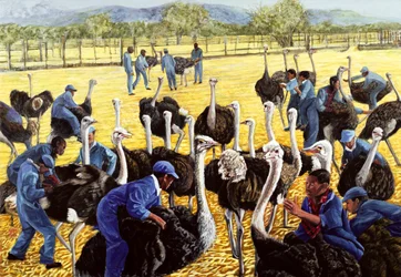 Ostrich Farm